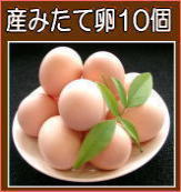 朝採れ産み立て卵２０個