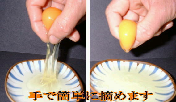 名古屋コーチン丹波ささやま地鶏　朝採れ産みたて卵