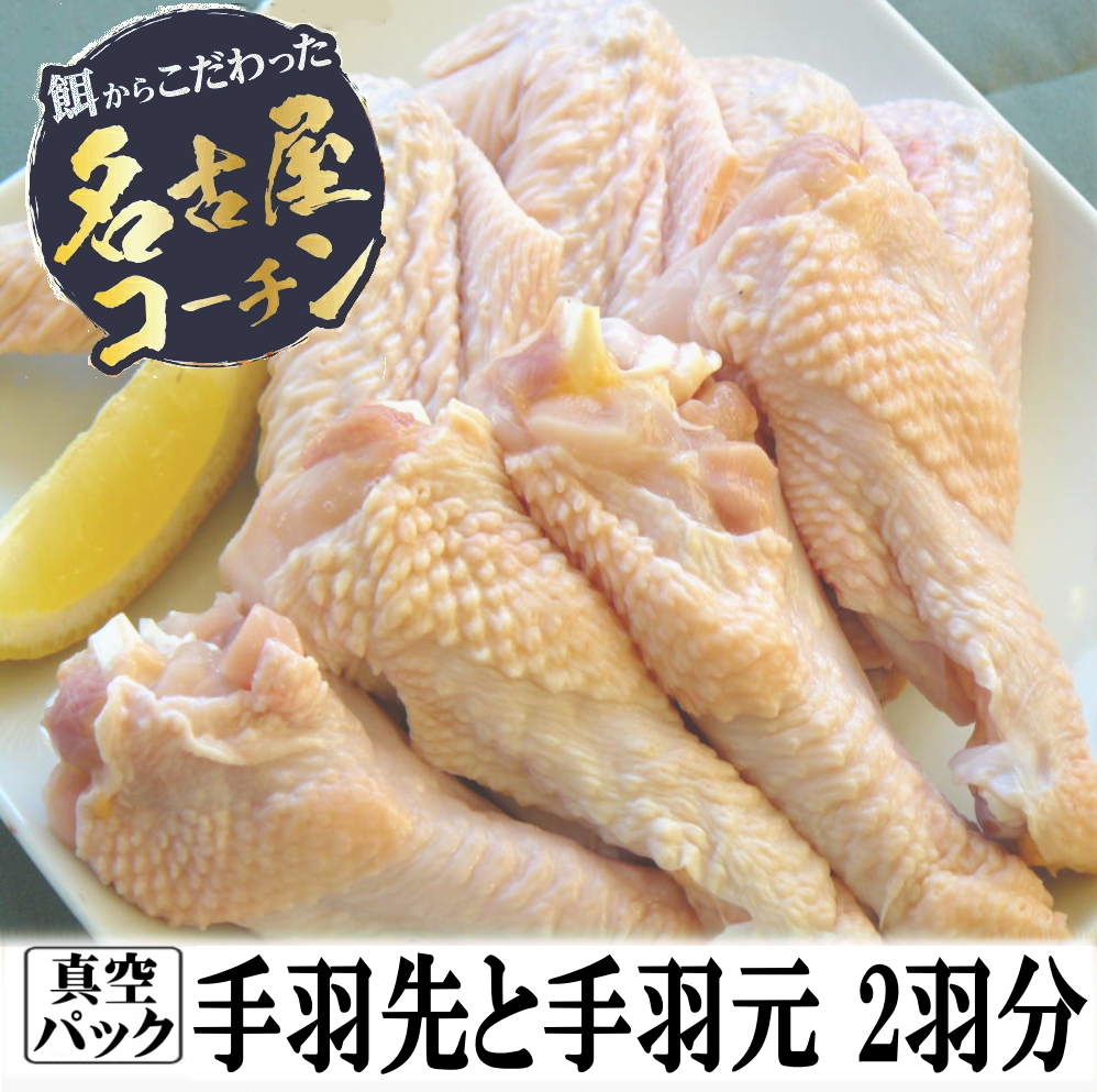 手羽先と手羽元２羽分
