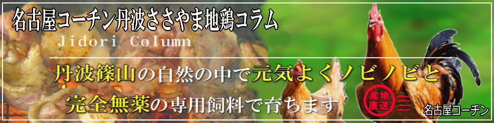 名古屋コーチン丹波ささやま地鶏コラム