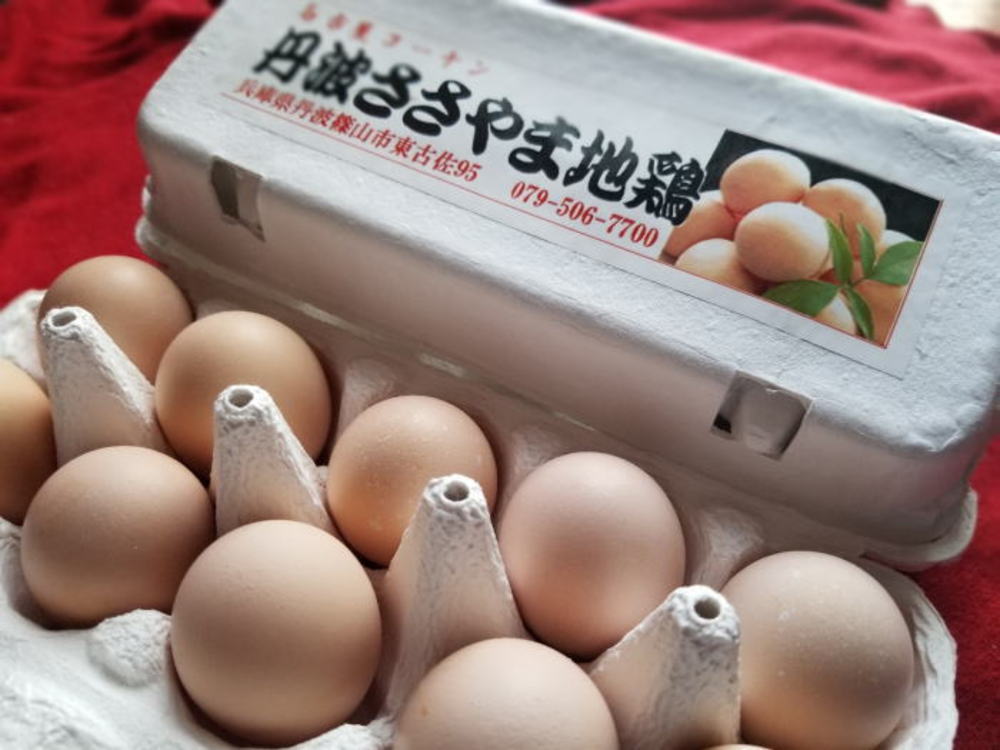 名古屋コーチン丹波ささやま地鶏の産み立て卵