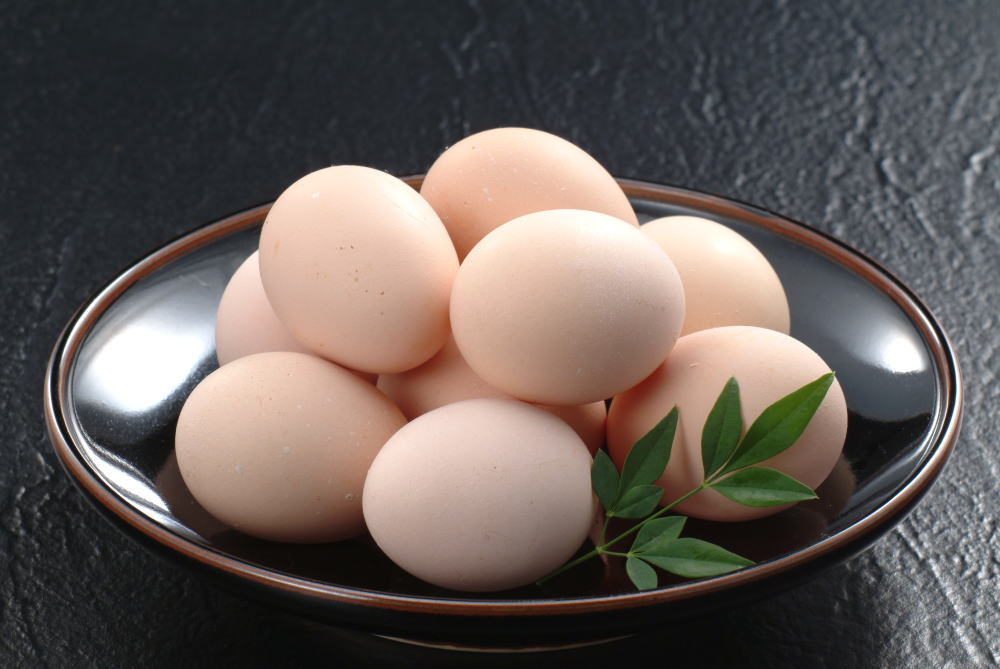 朝採れ産み立て卵