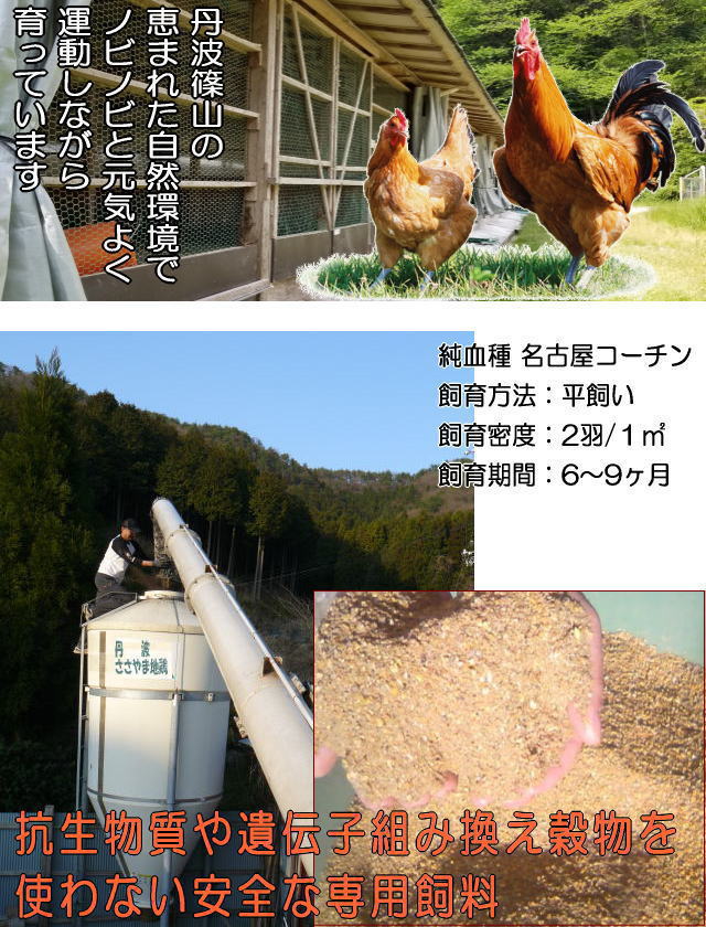 丹波ささやま地鶏の専用飼料