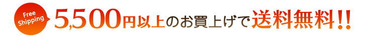 5,500円以上のお買い物で送料無料