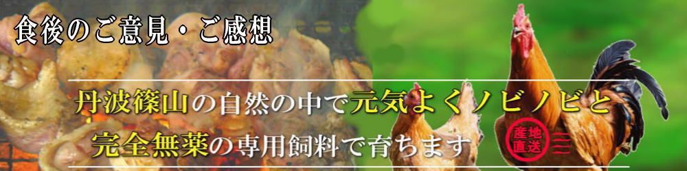 名古屋コーチン丹波ささやま地鶏へのご意見、食後感想