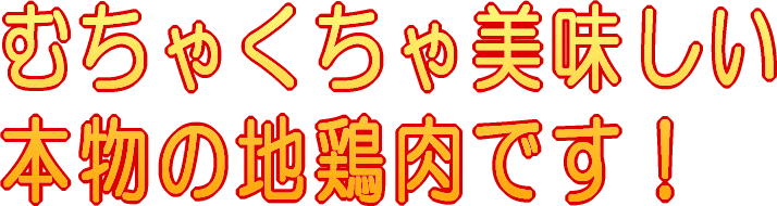 鶏肉通販 お試し割引名古屋コーチン丹波ささやま地鶏