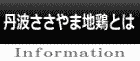 丹波ささやま地鶏とは