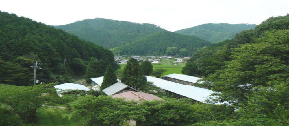 丹波ささやま地鶏 にわとり牧場