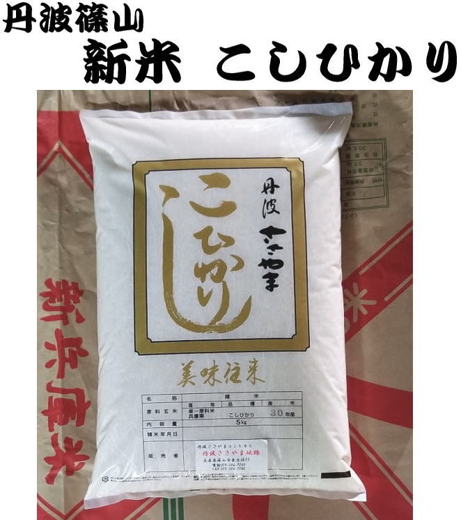 兵庫県丹波篠山市特産　こしひかり