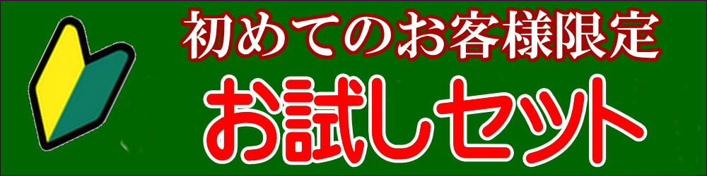 初回限定お試しセット