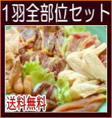 １羽全部位セット