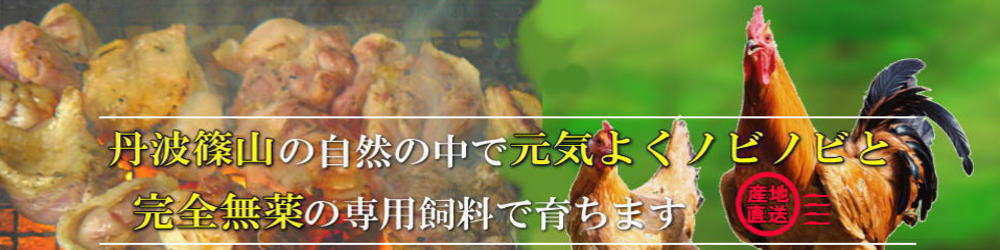 丹波ささやま地鶏は元気に育っています