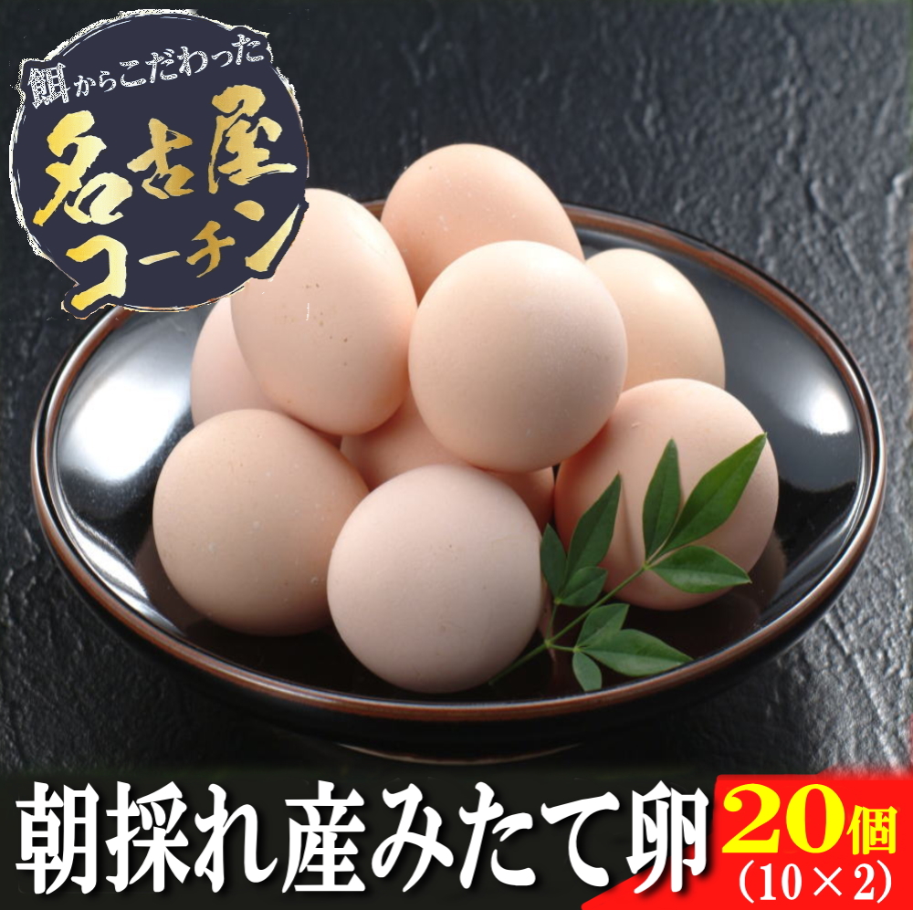 朝採れ産み立て卵20個
