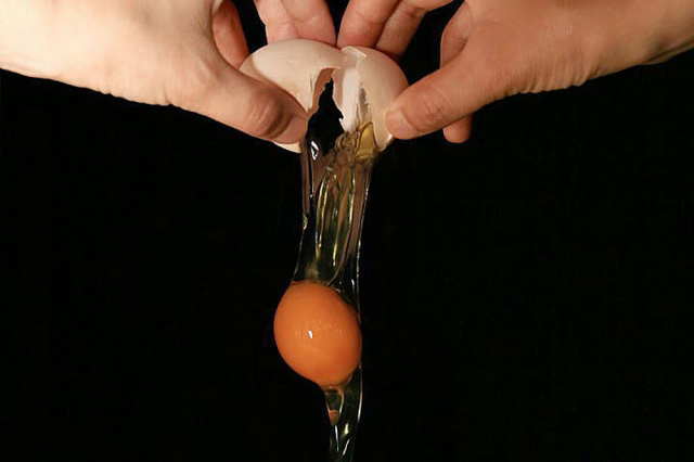朝採れ産み立て卵