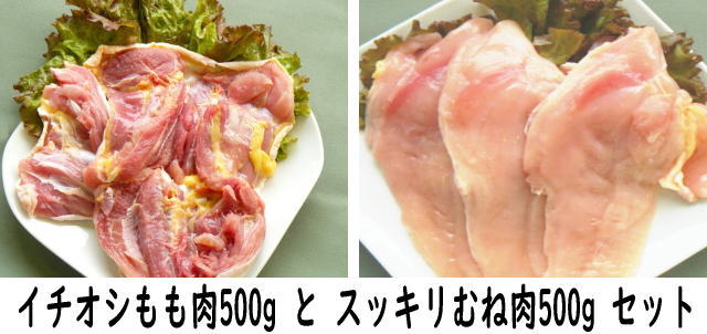 もも肉500g と むね肉500gセット