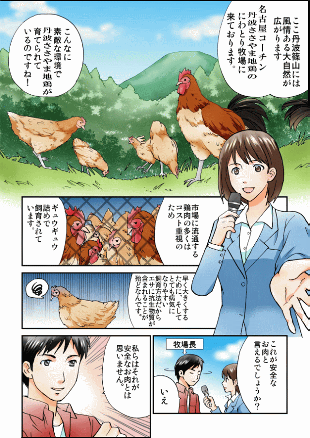 丹波ささやま地鶏マンガ