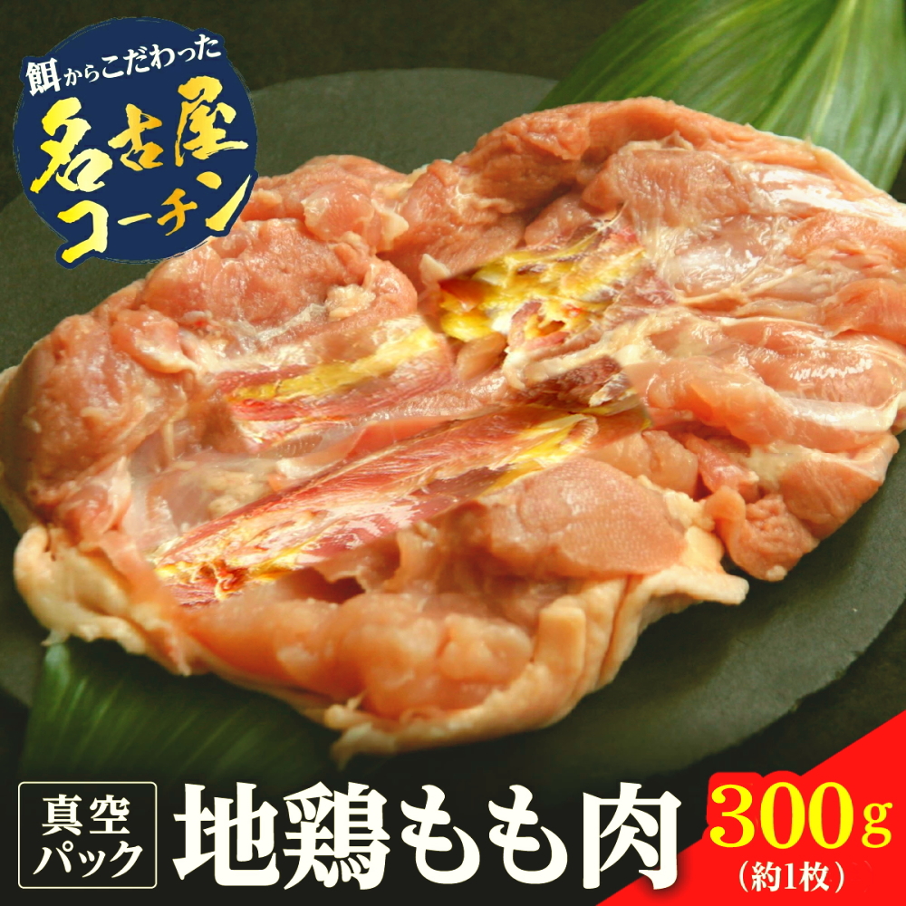 イチオシもも肉300g