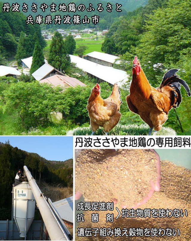 丹波篠山育ちの名古屋コーチン＝丹波ささやま地鶏