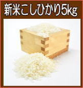 新米こしひかり５Kg 